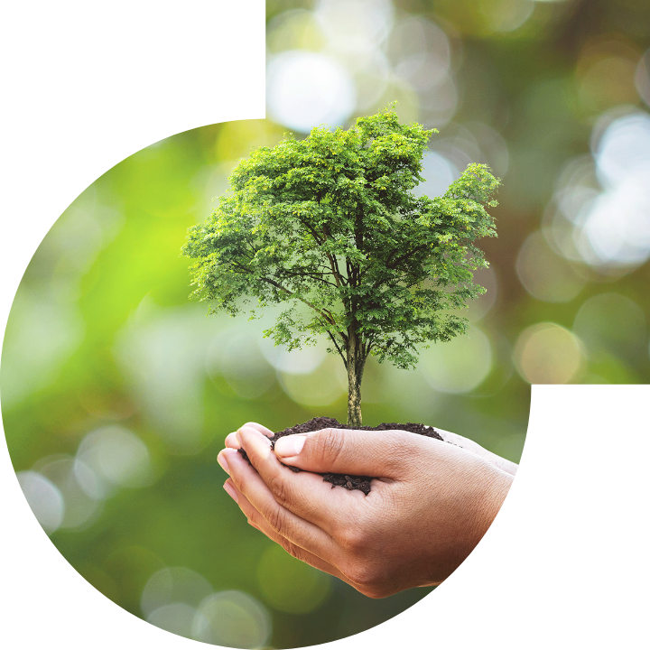 关怀人类、文化、环境与社会